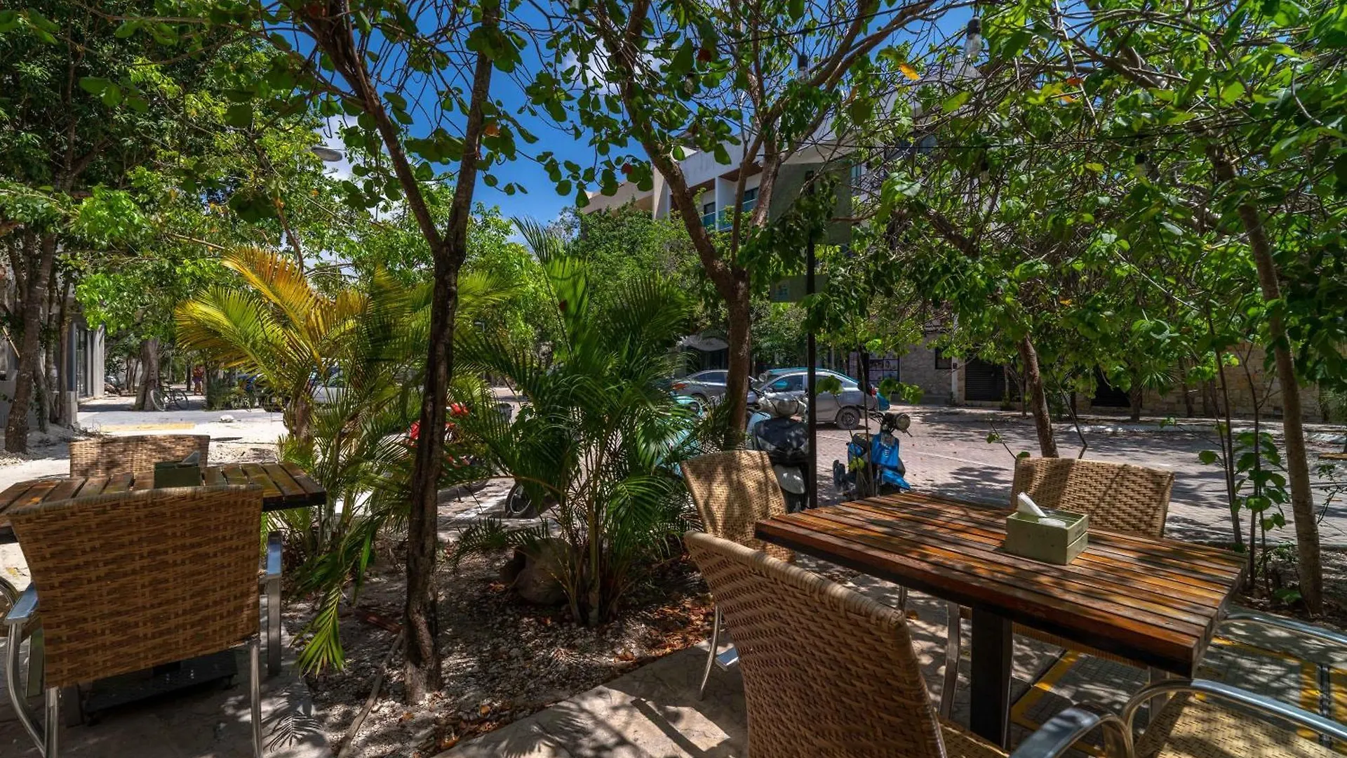 Tatil Evi Lux Studio With Private Balcony, Rooftop Pool, Gym Tulum